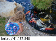 A little girl with white hair 4-6 years old looks into a pond with carp. Стоковое фото, фотограф Вербицкая Светлана / Фотобанк Лори