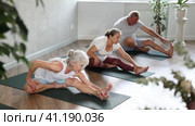 Elderly woman stretches and prepares to perform Jana Shirshasana. Стоковое видео, видеограф Яков Филимонов / Фотобанк Лори