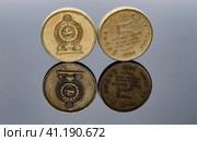 Sri Lankan 5-rupee coin with two sides (2020 год). Стоковое фото, фотограф Сергей Сергеев / Фотобанк Лори