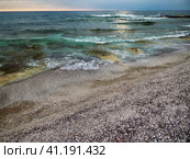 Shell coast of the Caspian Sea. Стоковое фото, фотограф Александр Малышев / Фотобанк Лори
