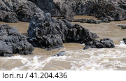 Video of Altai river Katun and Oroktoy rapids Teldekpen near Oroktoysky bridge. Стоковое видео, видеограф Сергей Пристяжнюк (Serg Zastavkin) / Фотобанк Лори