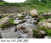 Вачкажец. Стоковое фото, фотограф Алексей Галайко / Фотобанк Лори