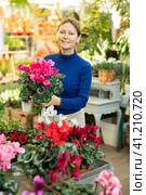 Woman buying ranunculus asiatica at flower shop. Стоковое фото, фотограф Яков Филимонов / Фотобанк Лори