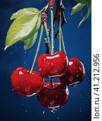 Juicy string of ripe cherries on a dark blue color. Generated by AI. Стоковое AI-изображение, AI-художник Ярославский Максим / Фотобанк Лори