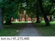Ruins of Eldena Abbey (Hilda Abbey) - is a former Cistercian monastery near the present town of Greifswald in Mecklenburg-Vorpommern, Germany (2021 год). Стоковое фото, фотограф Sergey Kohl / Фотобанк Лори
