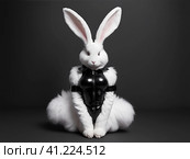 Белый пушистый кролик в костюме из черного латекса. White Fluffy Rabbit in a Black Latex Costume AI generated. Стоковое AI-изображение, AI-художник Алексей Траст / Фотобанк Лори