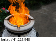 Tandoor in the garden at the evening. Firewood is burned in a tandoor heating it before cooking meat. Special spherical or pitcher-shaped grill for cooking a variety of food among the peoples of Asia. Тандыр в саду вечером. Дрова сжигают в тандыре, разогревая их перед приготовлением мяса. Специальный гриль сферической или кувшинообразной формы для приготовления разнообразных блюд у народов Азии. Стоковое фото, фотограф Дмитрий Березнев / Фотобанк Лори