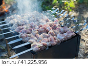 Photo of souvlaki on the chargrill. Meat strung on skewers is fried in the camp at sunset. Smoke rises from the grill. Фотография сувлаки на мангале. Мясо, нанизанное на шампуры, жарится в лагере на закате. От гриля поднимается дым. Стоковое фото, фотограф Дмитрий Березнев / Фотобанк Лори