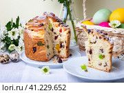 Craffin (Cruffin) with raisins and candied fruits. Easter Bread Kulich and painted eggs. Easter Holiday. Close-up. Стоковое фото, фотограф Наталья Любина / Фотобанк Лори