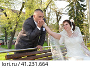 The bride and groom in a white dress are photographed on a park bench. The groom kisses the hand of the bride, the bride smiles. Стоковое фото, фотограф Юлия Петровская / Фотобанк Лори