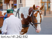 Travel around Russia. A carriage at the walls of the white Kremlin in Kazan, drawn by a horse in a skullcap. Russia, Republic of Tatarstan, Kazan, September 2023. Стоковое фото, фотограф Photojuli / Фотобанк Лори