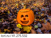 Хэллоуин тыква/ Halloween pumpkin in autumn forest. Стоковое фото, фотограф Iva Noel / Фотобанк Лори