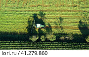 Harvesting and drying hay. The grass tedder turns freshly cut grass. Drone photo. Стоковое видео, видеограф Артем Лукин / Фотобанк Лори