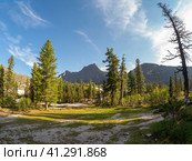 Cedars on a sunny mountain. Wonderful view to beautiful autumn hill slope with coniferous trees and rocks under blue sky. Vivid alpine landscape with mountainside with conifer forest in sunny day. Стоковое фото, фотограф Саблин Станислав / Фотобанк Лори