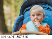 Portrait of a little boy 9 months old in the open air. A happy child in an autumn park is sitting in a stroller. Happy childhood and motherhood. Стоковое фото, фотограф Photojuli / Фотобанк Лори