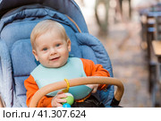Portrait of a little boy 9 months old in the open air. A happy child in an autumn park is sitting in a stroller. Happy childhood and motherhood. Стоковое фото, фотограф Photojuli / Фотобанк Лори