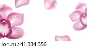 Horizontal Banner with Purple Orchid. Стоковая иллюстрация, иллюстратор Vicgmyr / Фотобанк Лори