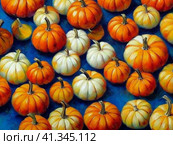 Decorative ornamental orange pumpkins. A jack-o'-lantern or jack o'lantern. Halloween or Hallowe'en, Allhalloween, All Hallows' Eve, or All Saints' Eve. Bright vegetable background - still life. Стоковое AI-изображение, AI-художник Юлия Петровская / Фотобанк Лори