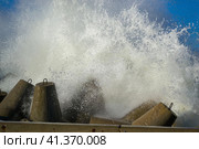Concrete breakwater at the coast of the sea. Стоковое фото, фотограф Долотова Елена Викторовна / Фотобанк Лори