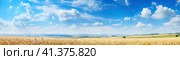 Yellow wheat field on the background of clouds and blue sky. Generated by AI. Стоковое AI-изображение, AI-художник Ярославский Максим / Фотобанк Лори