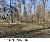 Весенний пейзаж в Екатерингофском парке Санк-Петербурга (2023 год). Стоковое фото, фотограф Жигалов Евгений Павлович / Фотобанк Лори