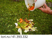Ecology compost supply - kitchen waste recycling in backyard composter. Environmentally friendly lifestyle. The man throws leftover vegetables from the bowl. Стоковое фото, фотограф Ирина Старикова / Фотобанк Лори