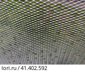 Metal diamond mesh. Стоковое фото, фотограф Andrew_Swarga / Фотобанк Лори
