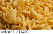 Conchiglie, Shells or Seashells Pasta Wallpaper. Spiral Raw Macaroni from Wheat flour rotating on Turntable. Close Up Top View. Uncooked Pasta Spinning. Full Frame. Food Background. Conchigliette. Стоковое видео, видеограф Марина Демидюк / Фотобанк Лори