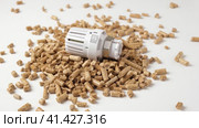 Wooden Pellets with Thermostat. Thermostatic Valve Head Isolated on White Background. Renewable Source of Heating. Biofuel. Ecologic Fuel made from Biomass. The Alternative Energy Source. Gas Crisis. Стоковое видео, видеограф Марина Демидюк / Фотобанк Лори