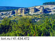 Stone pillars. Stone sphinxes of Bakhchisaray in Crimea. (2020 год). Стоковое фото, фотограф Анна Кривицкая / Фотобанк Лори