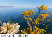 Baikal Lake in autumn. Olkhon Island. View of Saraiskiy Bay from Cape Burkhan with yellowed larches on sunny warm October day. Tourists tie colored ribbons on tree. Autumn travel and outdoor recreation. Стоковое фото, фотограф Виктория Катьянова / Фотобанк Лори