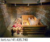 National Museum named after A.V. Anokhin. Princess Ukok, reconstruction of an ancient burial, installation in the museum. (2023 год). Редакционное фото, фотограф Саблин Станислав / Фотобанк Лори