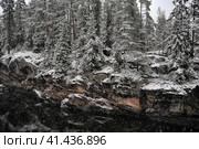 River Canyon and rocks in winter. Стоковое фото, фотограф Анна Кривицкая / Фотобанк Лори