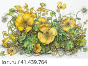 Yellow Trollius still life, illustration, watercolor style, Generative AI. Стоковое AI-изображение, AI-художник Анна Кривицкая / Фотобанк Лори