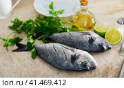 Raw dorado fish with cilantro and lime. Стоковое фото, фотограф Яков Филимонов / Фотобанк Лори
