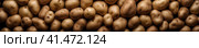 Background of scattered tubers of ripe potatoes. Generated by AI. Стоковое AI-изображение, AI-художник Ярославский Максим / Фотобанк Лори