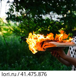 Burning book in the hands. Burning books in the forest. Стоковое фото, фотограф Леонид Еремейчук / Фотобанк Лори