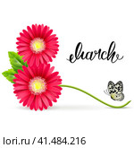 March 8 Symbol of Gerbera Flowers with a Butterfly. Стоковая иллюстрация, иллюстратор Vicgmyr / Фотобанк Лори