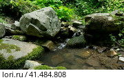 Mountain river among large stones in a green forest with small waterfalls. Sochi, Lazarevskoe, Berendeevo kingdom. Стоковое фото, фотограф Tae Mi / Фотобанк Лори