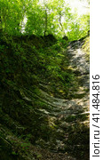 Forest waterfall in Sochi, Russia. Berendeyevo kingdom tourist trail. Стоковое фото, фотограф Tae Mi / Фотобанк Лори