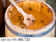 Honey saved. Стоковое фото, фотограф Андрей Аркуша / Фотобанк Лори