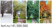 Bright seasonal collage of photographs from the four seasons. City alley near the house in winter, spring, summer and autumn. Change of seasons. Natural background. Beautiful cityscape. Стоковое фото, фотограф Виктория Катьянова / Фотобанк Лори