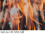 Pile of firewoods in the fire flames in the roaster closeup. Picnic concept. Стоковое фото, фотограф Воловодов Владимир / Фотобанк Лори