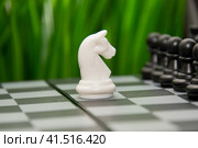 A white chess knight stands of army of black chess pieces. The concept of confrontation and self-identification. Стоковое фото, фотограф Anastaiya Lavrik / Фотобанк Лори