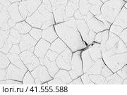 White peeling paint on the wall. Old concrete wall with cracked flaking paint. Weathered rough painted surface with patterns of cracks and peeling. High resolution texture for background and design. Стоковое фото, фотограф Андрей Степанов / Фотобанк Лори