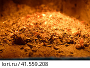 Hot coals in the stove. Стоковое фото, фотограф Леонид Еремейчук / Фотобанк Лори
