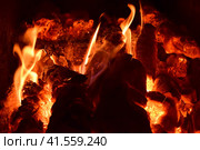 Hot coals in the stove. Стоковое фото, фотограф Леонид Еремейчук / Фотобанк Лори