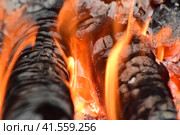 Hot coals in the stove. Стоковое фото, фотограф Леонид Еремейчук / Фотобанк Лори
