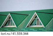 The house with plastic windows and a green roof of corrugated sheet. Green roof of corrugated metal profile and plastic windows. Стоковое фото, фотограф Леонид Еремейчук / Фотобанк Лори