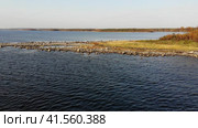 Осенний лес и побережье Белого моря. Переговорный камень на Соловках. Стоковое видео, видеограф Яковлев Сергей / Фотобанк Лори